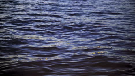 macro shot of flowing ocean waves