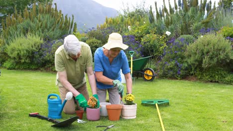 senior couple gardening together