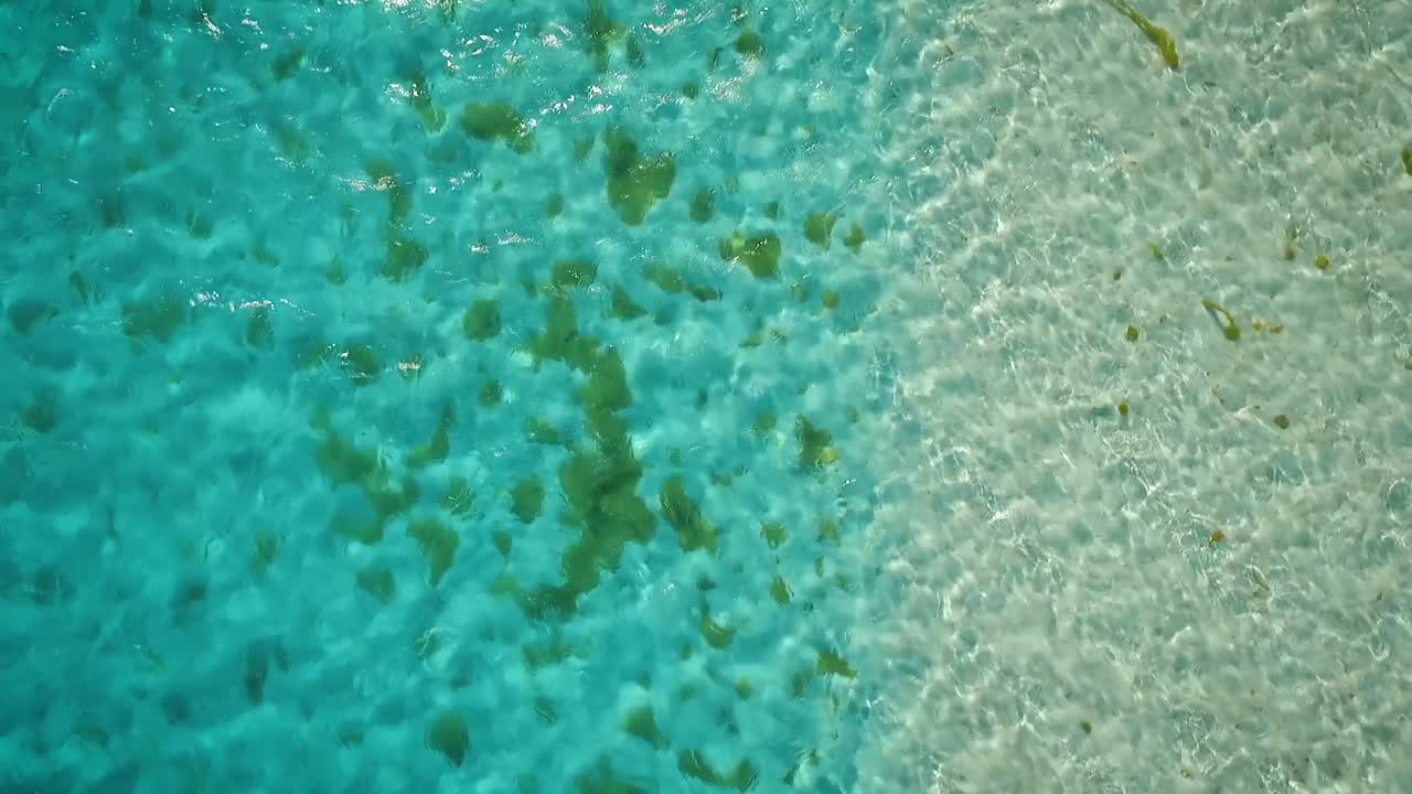 clip de drones volando sobre un mar caribe azul claro en los roques, venezuela