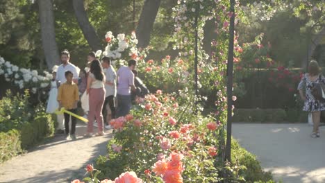 a colourful flowery scene with people and children visiting la rosaleda, retiro park in spring. vibrant and picturesque garden scene.