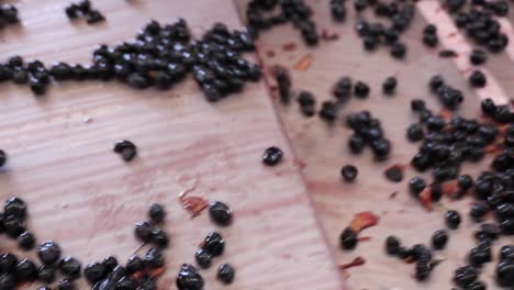 Grape-sorting-table-on-wine-estate