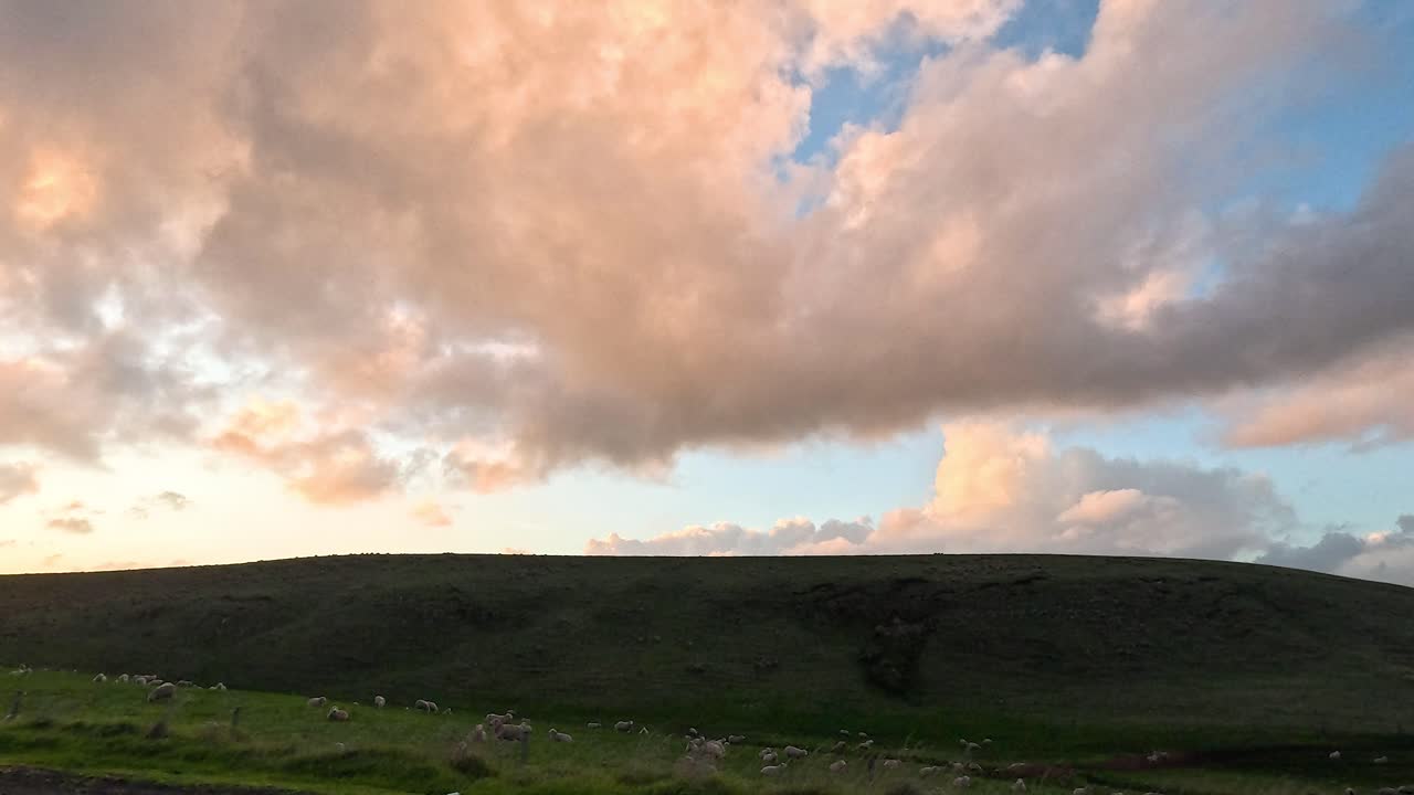 다채로운 하늘 에서 양들이 먹이를 먹고 있다