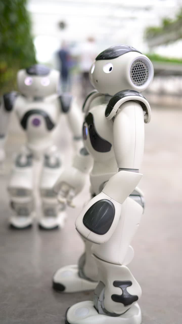 Two humanoid robots standing near rows of tomatoes in a greenhouse farm. Vertical