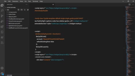 editor di codice con codice html, javascript e css