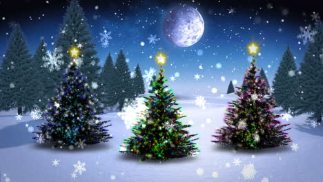 Christmas-trees-growing-in-snowy-landscape