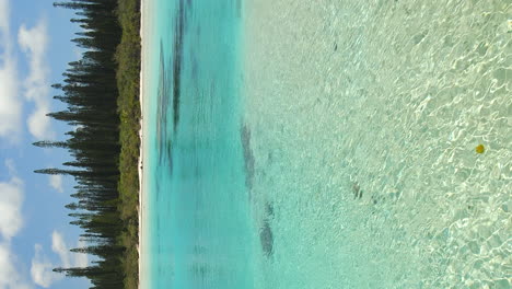 Reveal-shot-of-the-colorful-paradisiac-waters-of-the-Natural-Pool-of-Oro,-Isle-of-Pines