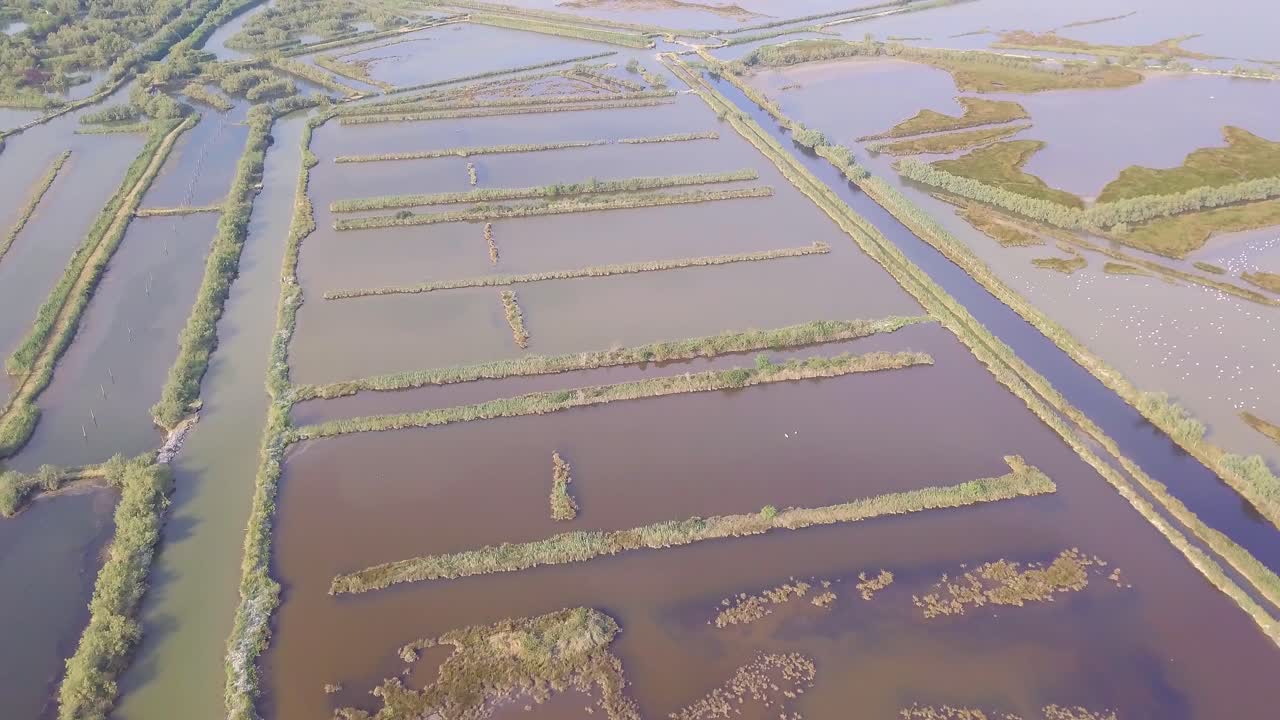 vuelo de drones sobre pantanos y campos inundados