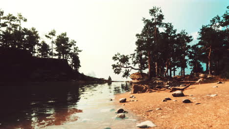 beautiful landscape with a lake surrounded by trees