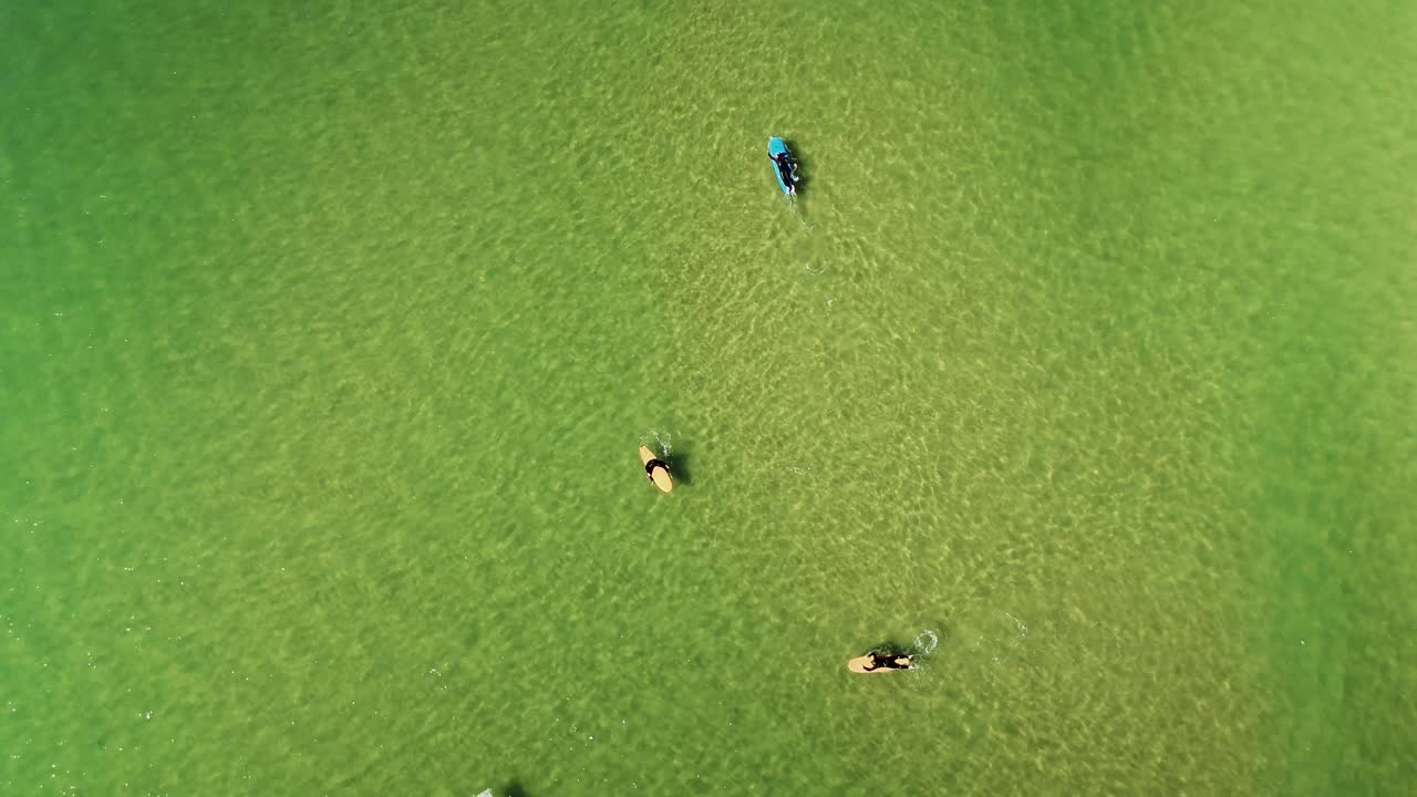 Aerial view of surfers in the ocean