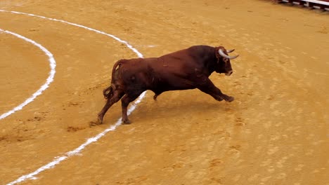 Una-Plaza-De-Toros-En-España,-Cámara-Lenta-1