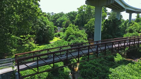 People-walking-on-a-bridge-path-through-the-forest