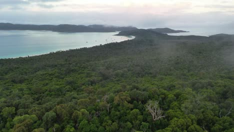 Deep-forest-green-jungle-aerial-toward-wide-beach-with-sailboats