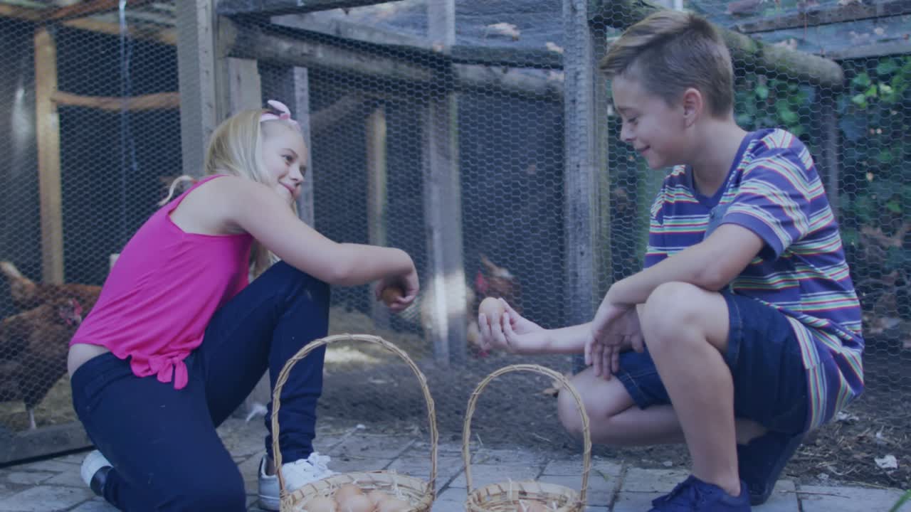 소셜 미디어 아이콘이 떠오르면서 참여도를 높이는 가운데, 나무 닭장 앞에서 무릎을 꿇고 앉아 달걀을 모으는 형제자매