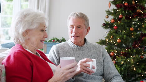 close up de una pareja de mayores sentada en el sofá con una bebida caliente en casa y hablando con el árbol de navidad en el fondo