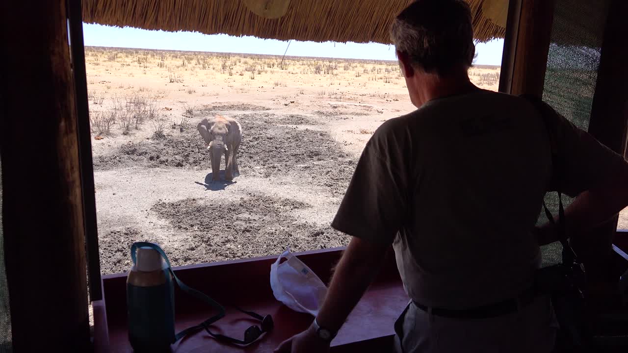 los turistas miran a través de un ciego en un parque de juegos de safari de vida silvestre en un elefante en un abrevadero en namibia