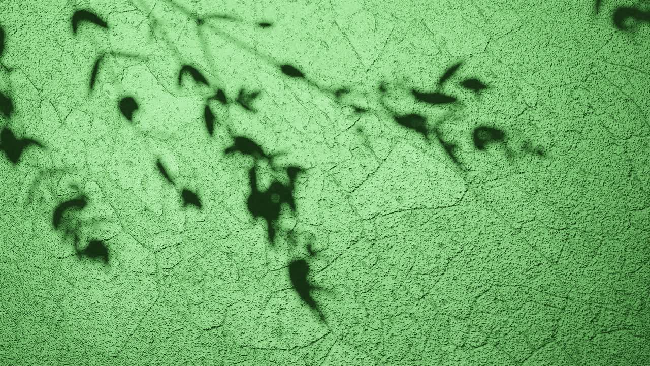 тени природы на зеленой текстурированной вертикальной поверхности