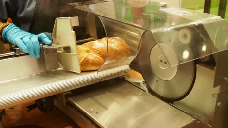 a baker slicing a loaf of sourdough bread using a machine inside a local bakery in bangkok, thailand