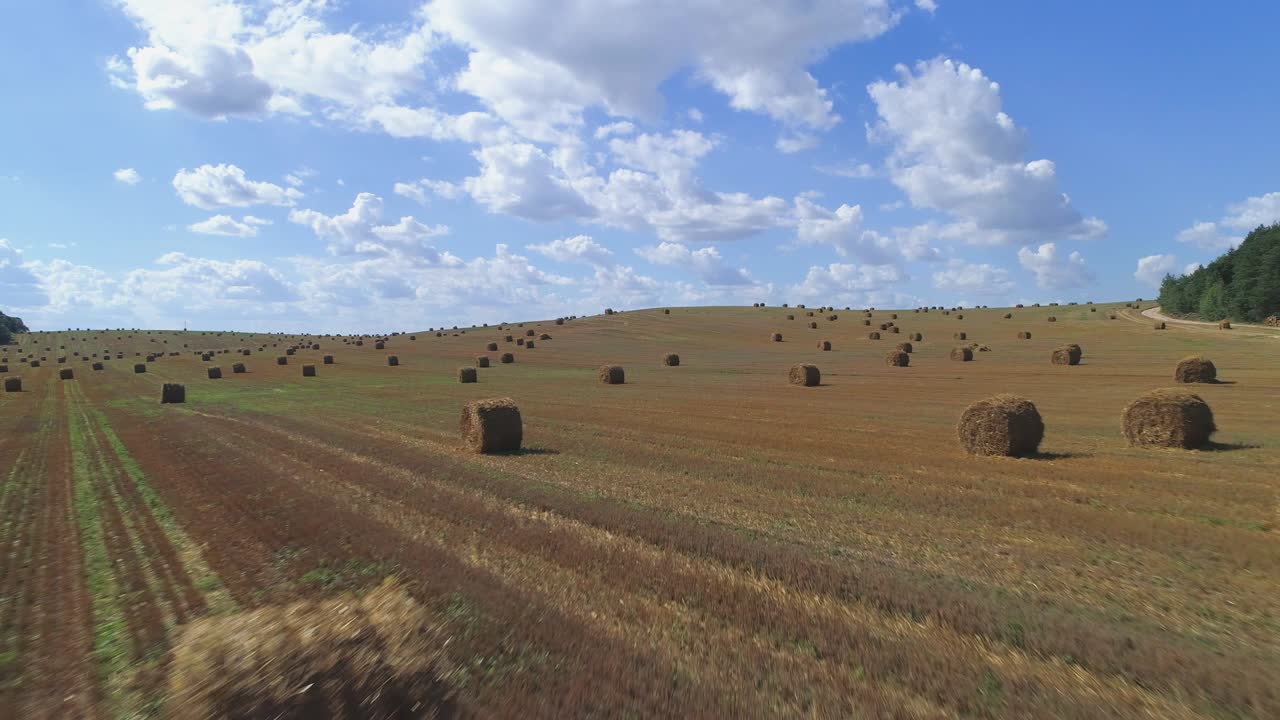 лететь над балами сена в поле