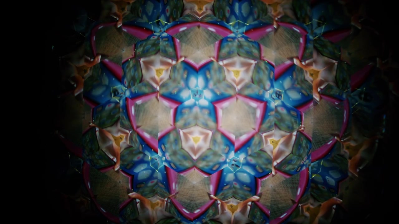 Immagine astratta a caleidoscopio formata da texture organiche specchiate che ricordano conchiglie o elementi botanici essiccati, creando motivi geometrici simmetrici.