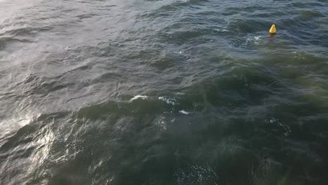 Drone-aerial-over-ocean-Melbourne-wavy-windy-cloudy-day-with-man-swimming-in-water