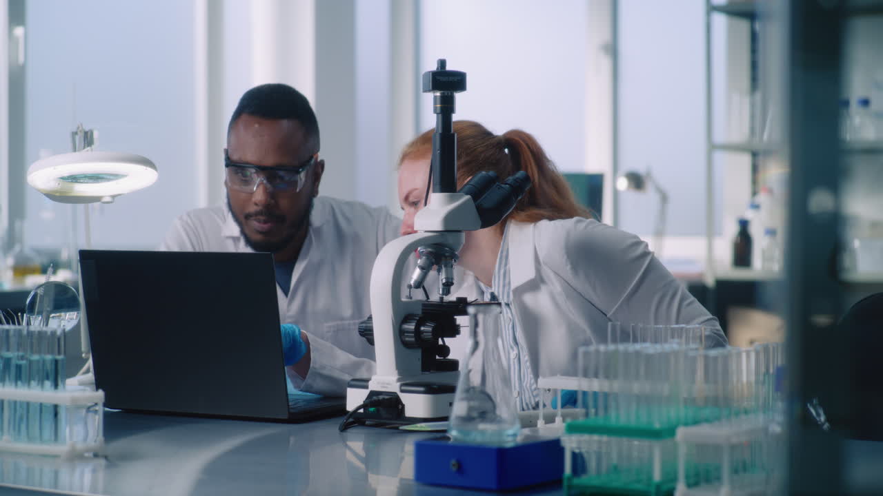 Scientists working in a laboratory