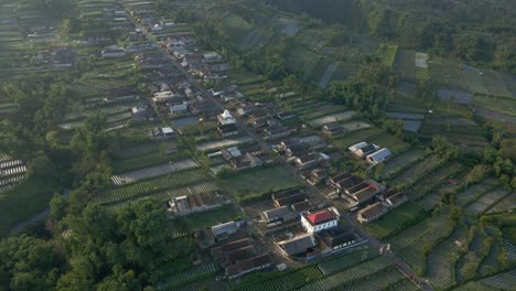 aerial view of beautiful tropical countryside