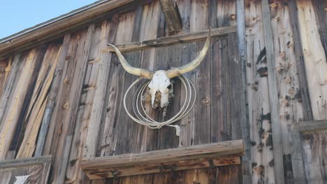 Bullhead-with-Horns-and-Lasso-on-Hay-Feed-Wooden-Barn-in-Western-Style-Desert-Ghost-Town-During-Summer