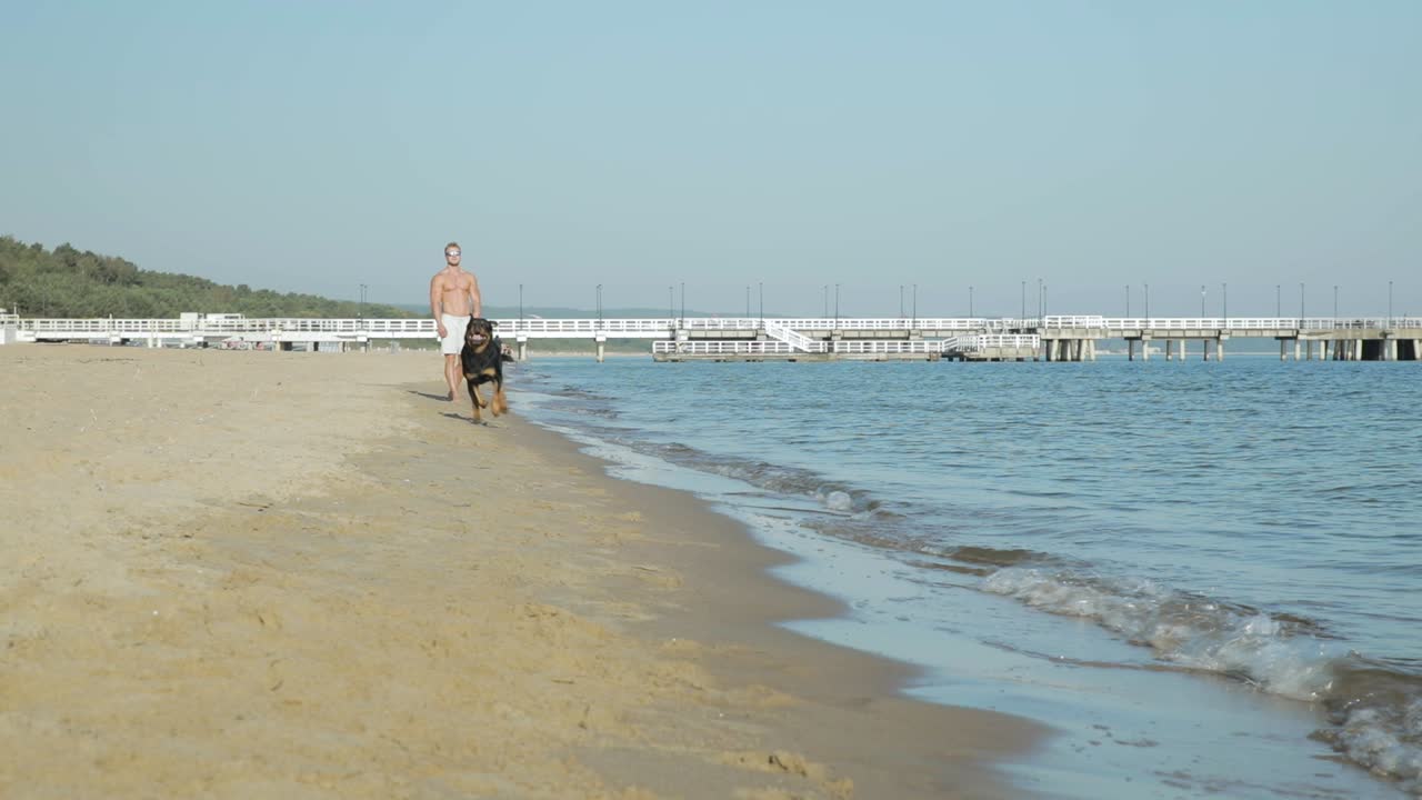 perro rottweiler feliz corre por la playa a su dueño en cámara lenta