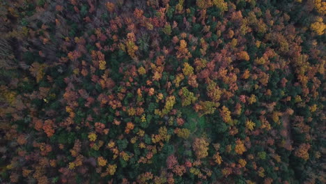 aerial footage of the beautiful forest with autumn colors in the catalan mountains-1
