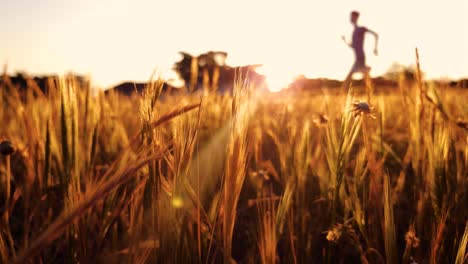 a cinematic shot of a jogger running through a field at sunset