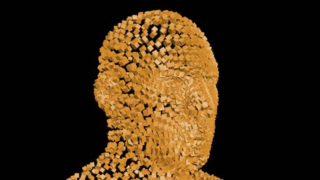 human head from rotating cubes transparent 4k.