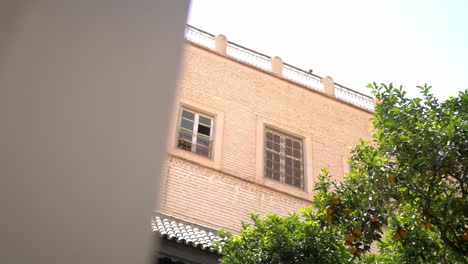 Bird-flying-above-a-Moroccan-alley-on-a-bright-sunny-day,-handheld-shot