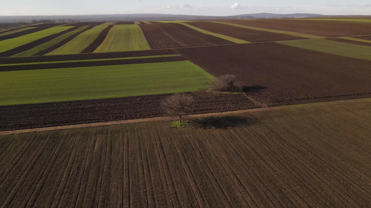 Ackerland mit gepflügtem Feld während der Aussaat in Vrancea, Rumänien