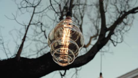 bombilla edison colgando de un árbol por el viento