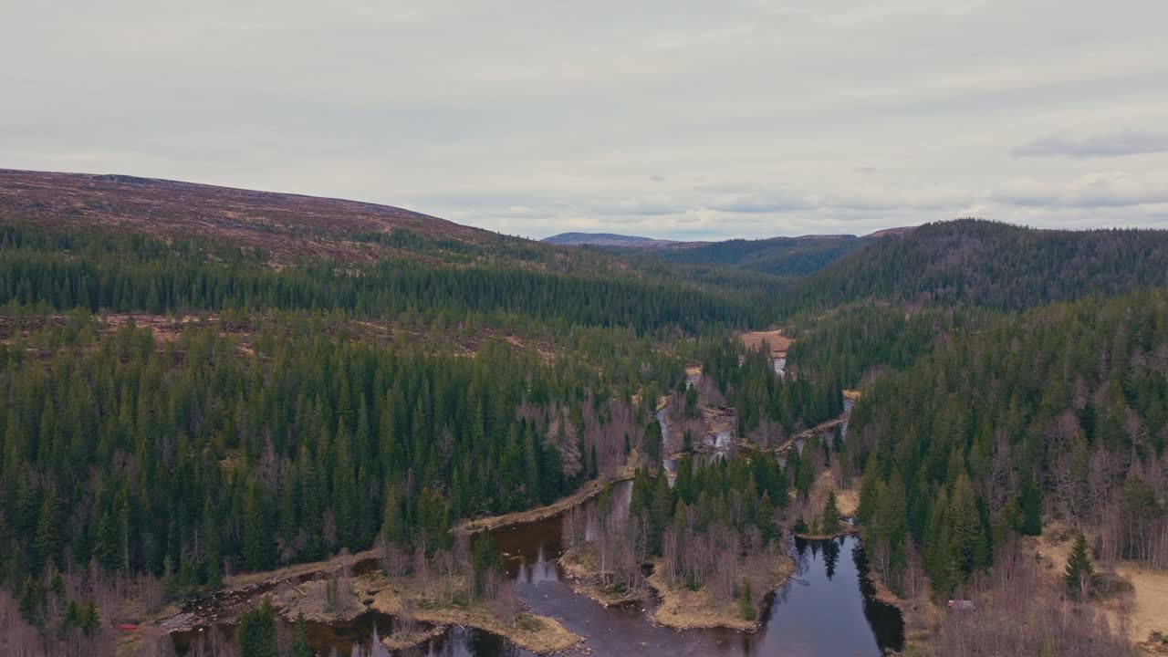 Mountain And Trees With Tranquil Lake Of Reinsjoen, Norway. Aerial Pullback Shot