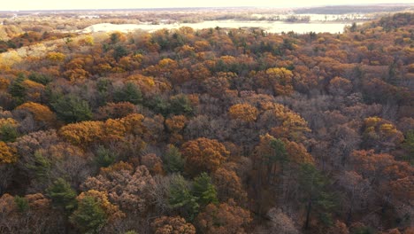 aerial of the autumn colors in the latter half of the season