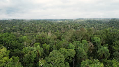 Avanza-Sobre-La-Densa-Jungla,-Envuelta-En-Niebla-Y-Nubes,-Creando-Una-Atmósfera-Misteriosa-Y-Cambiante