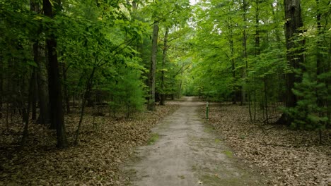 Reverse-motion-along-a-hiking-path