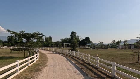 a peaceful stroll down a rural farm road