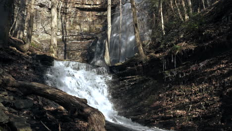 looking up tranquil stream at cascading waterfalls in forest, 4k