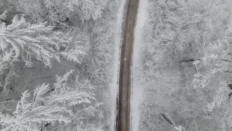 Country-Road-Through-Snowy-Forest-Landscape-In-Poland-During-Winter-Season