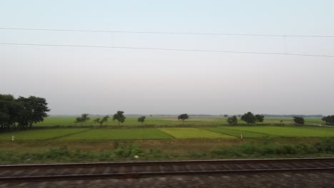 large agricultural farm land and paddy field, shot through fast moving train
