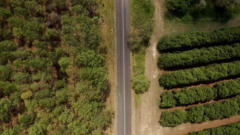 vista de arriba hacia abajo de la carretera asfaltada con exuberante vegetación en verano en la región de la costa del sol, queensland, australia