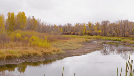 Colores-De-Otoño-En-Un-Día-Nublado-En-El-área-De-Heise-En-El-Este-De-Idaho