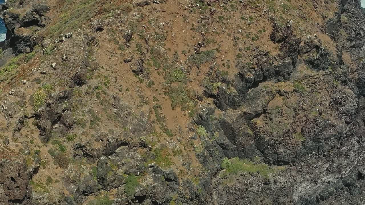 スペインのテネリフェ島の海岸で険しい景観を発見しましょう。