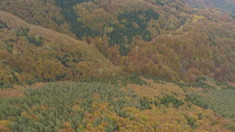 Antenne-über-Einem-Stillen-Und-Blühenden-Balkanwald-Mit-Herbstfarben