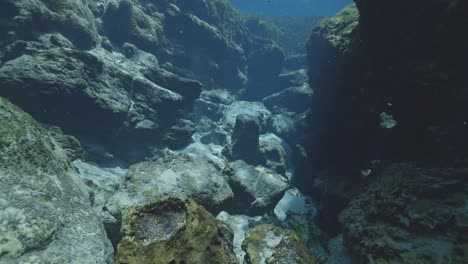 Underwater-view-of-rocky-canyon-with-caves-in-natural-spring