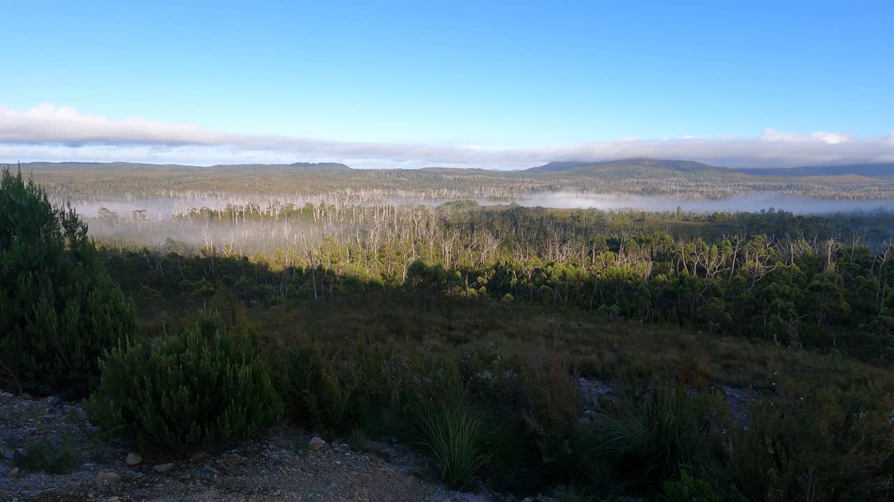 el lapso de tiempo de la mística niebla matutina volando sobre el paisaje forestal de tasmania, australia