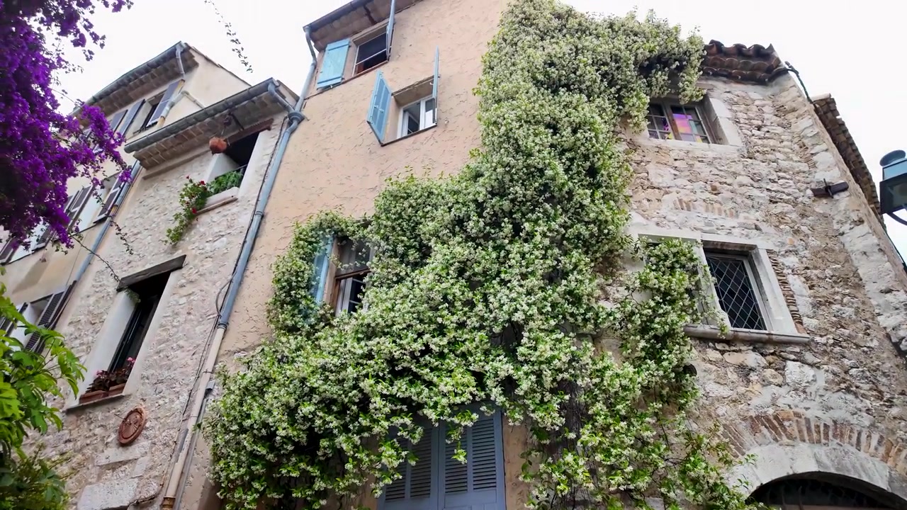 Panoramica verso l'alto da un'antica strada acciottolata a edifici in pietra coperti di edera a Saint Paul de Vence, Francia, che mostra architettura medievale, strade affascinanti e carattere provenzale