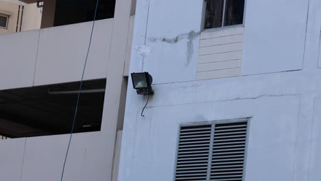 plastic bag blowing around on a building ledge